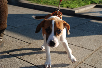 d0052512_1552447